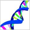 AmnioChor industry product list AmnioChor industry product list